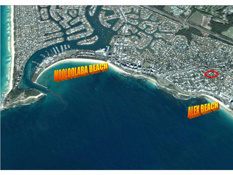 17 Camfield Street, Alexandra Headland QLD 4572