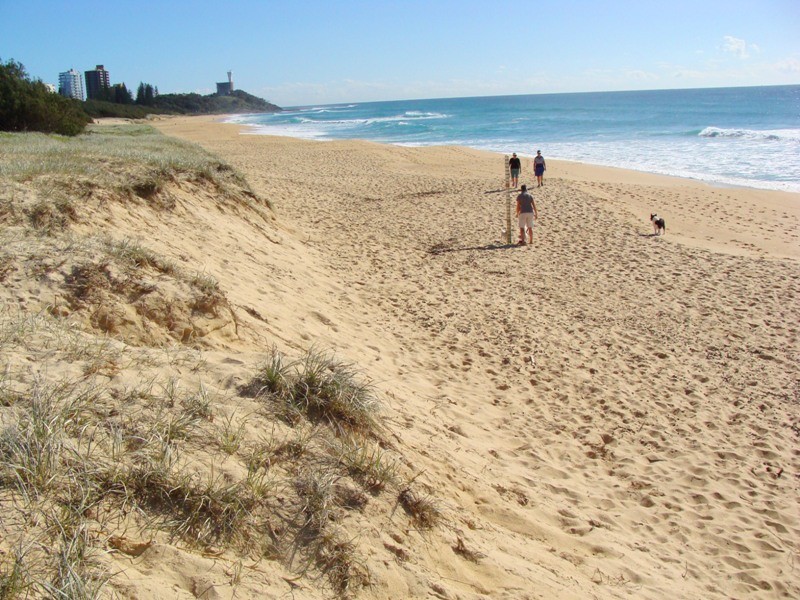 21 Yaringa Avenue, Buddina QLD 4575