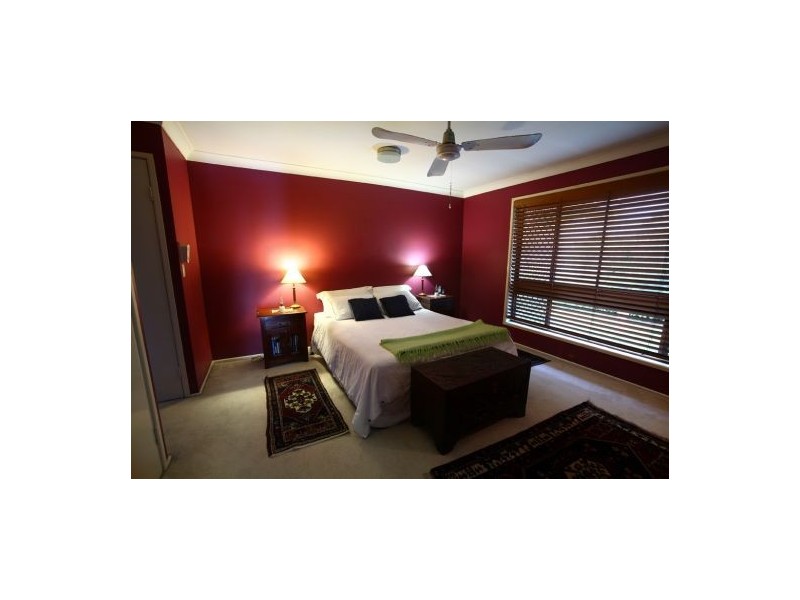 29 Neerim Drive, Mooloolaba QLD 4557