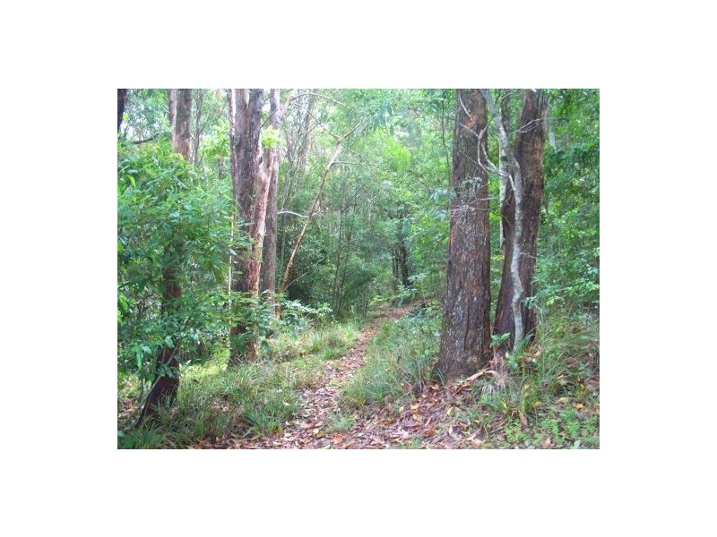 57 Valley Drive, Doonan QLD 4562
