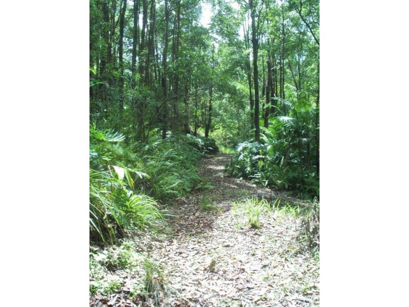 59 Valley Drive, Doonan QLD 4562