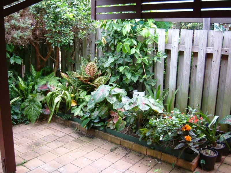 U110 Melody Court, Warana QLD 4575