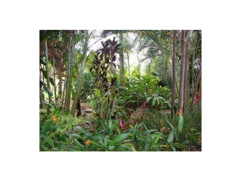 111 Eudlo Flats Road, Diddillibah QLD 4559