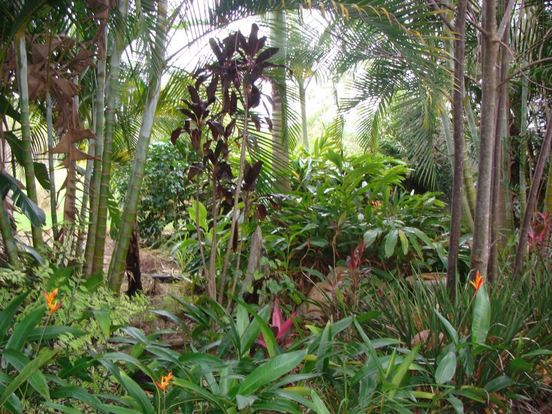 111 Eudlo Flats Road, Diddillibah QLD 4559