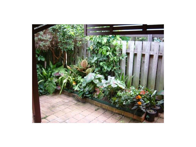 Unit 110 Melody Court, Warana QLD 4575