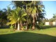 Buderim QLD 4556