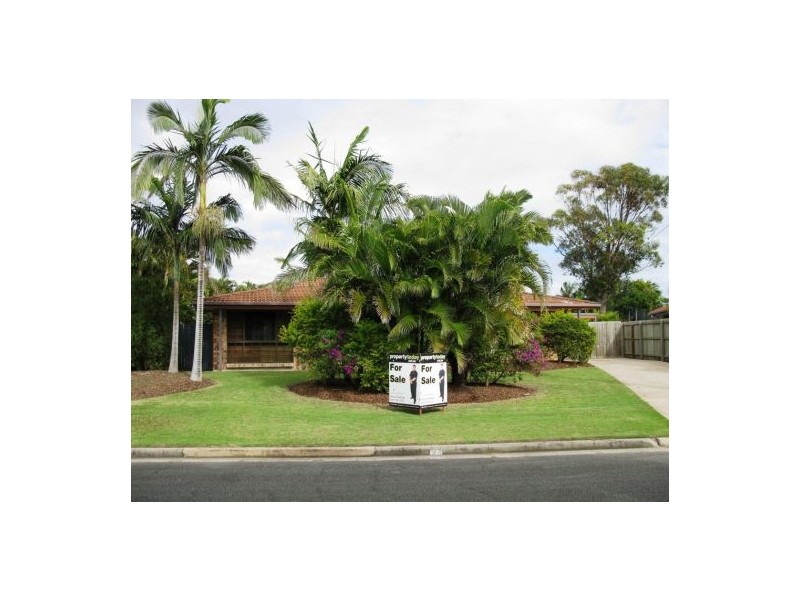 24 Pheasant Street, Buddina QLD 4575