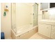 151 Sippy Creek Road, Tanawha QLD 4556