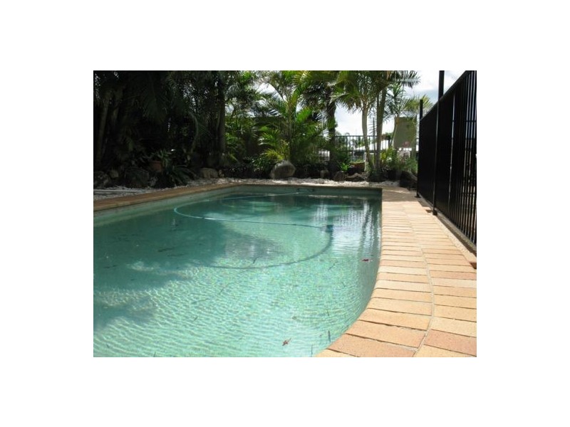 53 Buna Street, Maroochydore QLD 4558