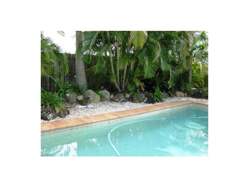 53 Buna Street, Maroochydore QLD 4558