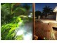 31 Mooloolah Island, Minyama QLD 4575