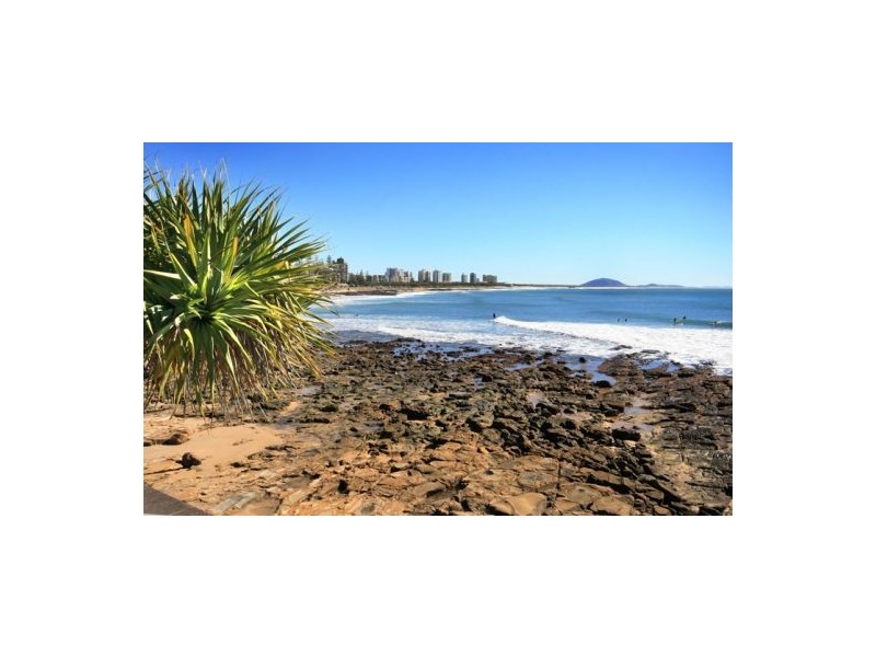 2 ‘Forest’ 29 Pacific Terrace, Alexandra Headland QLD 4572