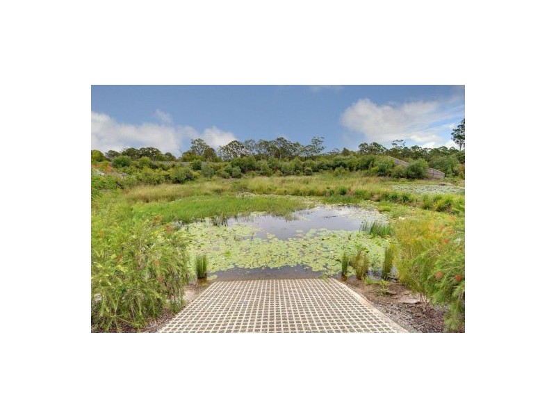 11 Clarence Place, Sippy Downs QLD 4556