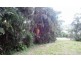 10 Cedara Place, Buderim QLD 4556