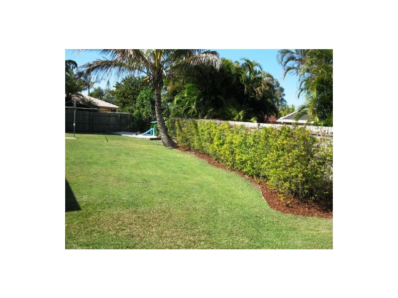 24 Pheasant Street, Buddina QLD 4575