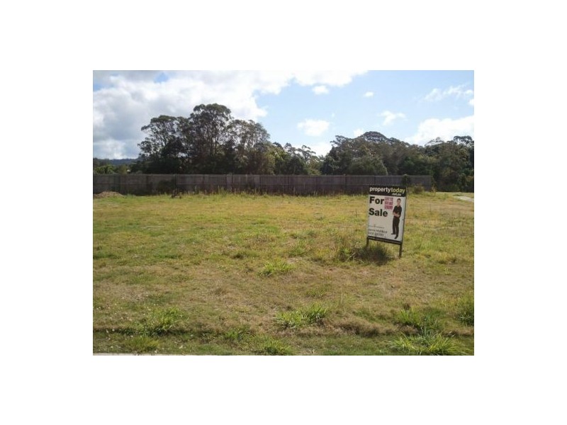 Lot 12 Aland Place, Palmwoods QLD 4555
