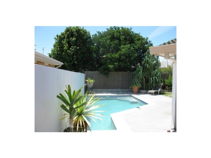 11 Dalpura Street, Buddina QLD 4575