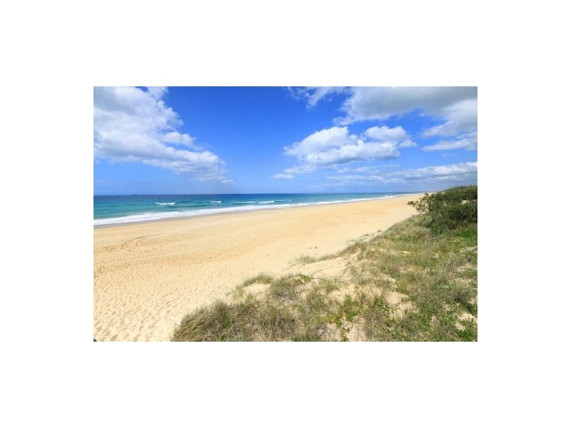 37 Point Cartright Drive, Buddina QLD 4575