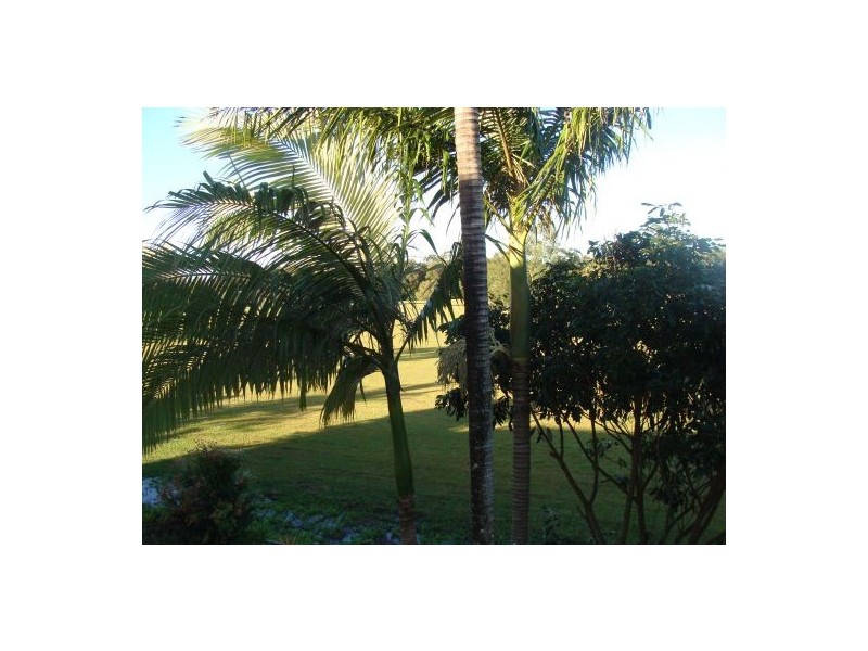 Unit 15/4 Kirsten Court, Maroochydore QLD 4558