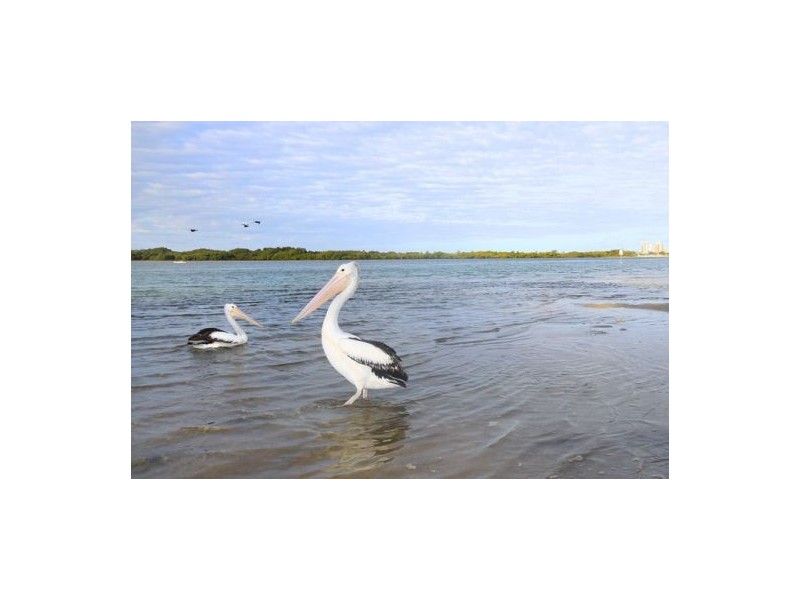 7 “Sunshine Waters” 65 The Esplanade, Maroochydore QLD 4558
