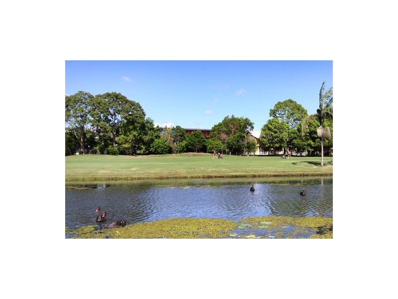 25 Hazeltine Court, Maroochydore QLD 4558