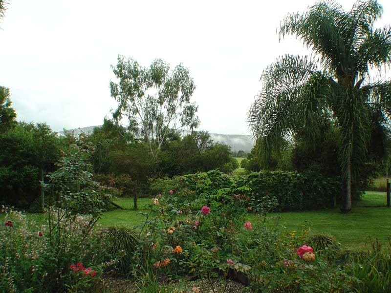 Bucca Road Nana Glen, Coffs Harbour NSW 2450