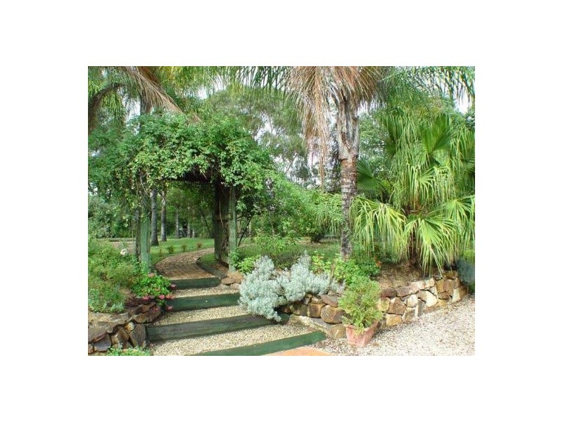 Bucca Road Nana Glen, Coffs Harbour NSW 2450