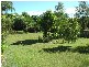 Boambee East NSW 2452