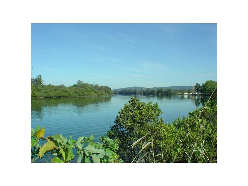 65 Forest Drive, Repton NSW 2454