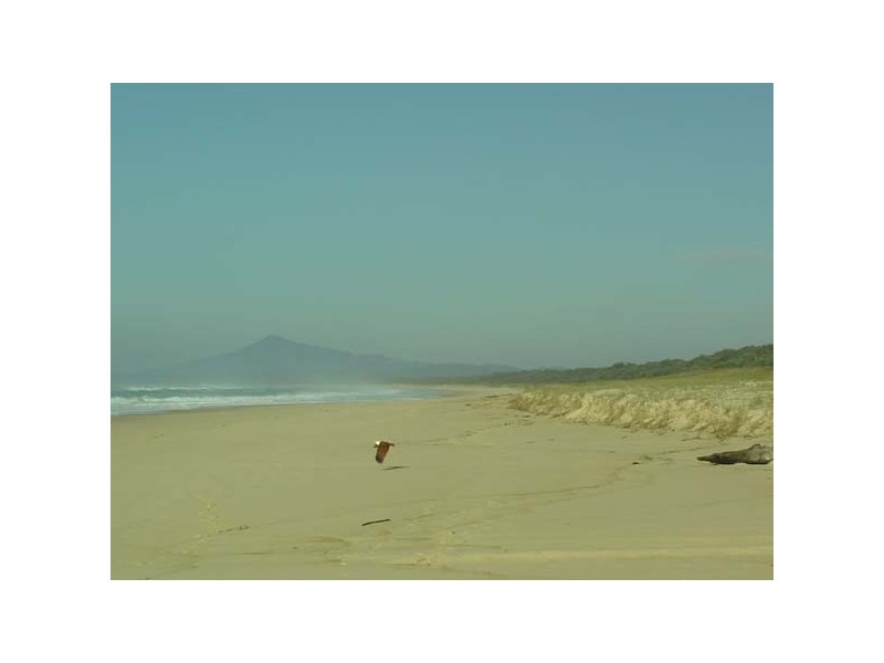 65 Forest Drive, Repton NSW 2454