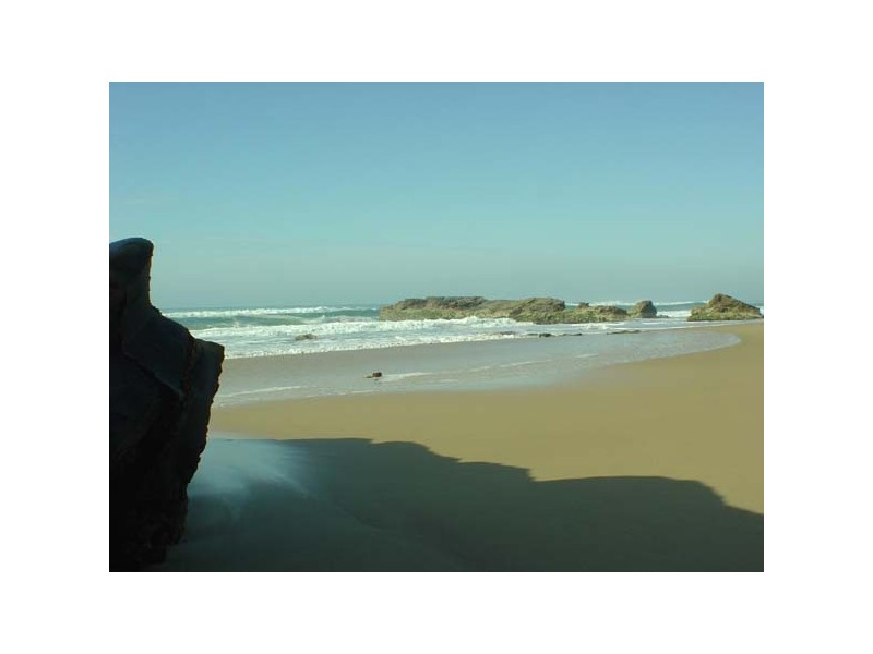 65 Forest Drive, Repton NSW 2454