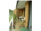 15/28 Brunswick Avenue, Coffs Harbour NSW 2450