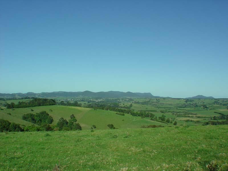 Dorrigo NSW 2453
