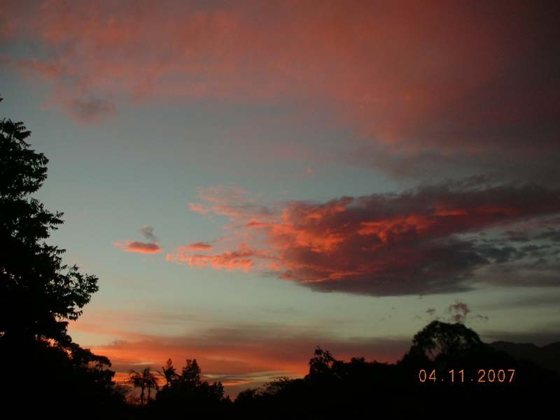 Bonville NSW 2441
