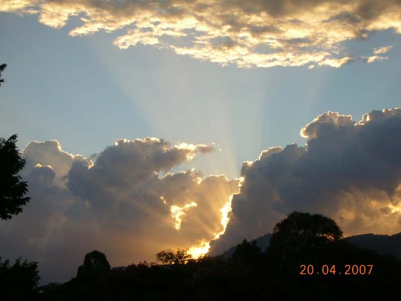 Bonville NSW 2441