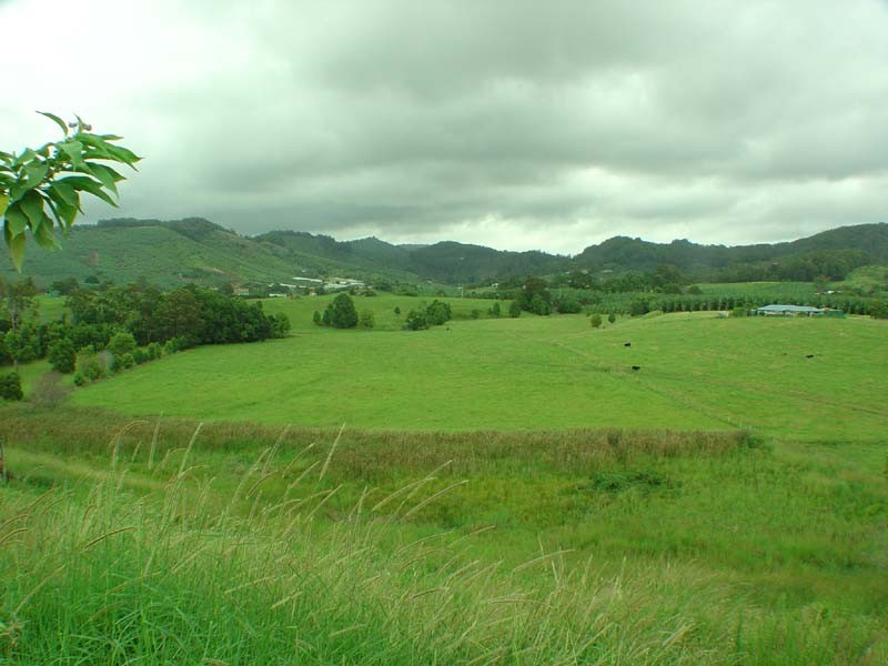 23 Ceanothus Close, Coffs Harbour NSW 2450