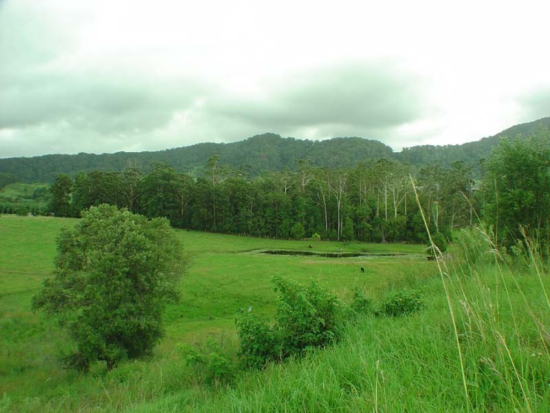 23 Ceanothus Close, Coffs Harbour NSW 2450
