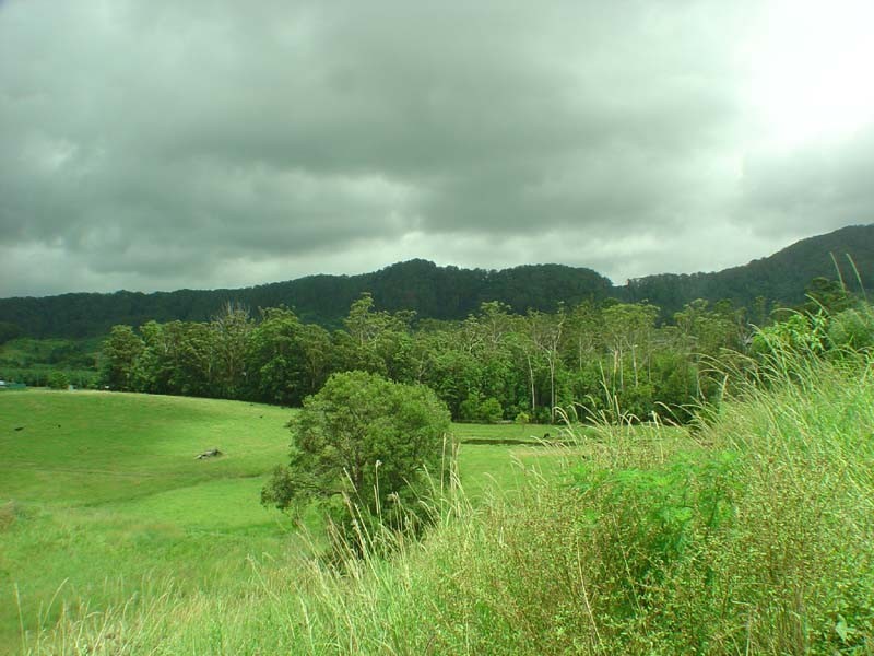 23 Ceanothus Close, Coffs Harbour NSW 2450