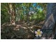 Mossman QLD 4873