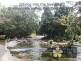 Mossman QLD 4873