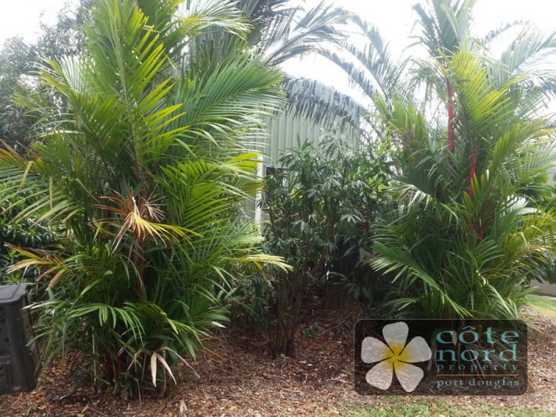 16 Ives Avenue, Wonga Beach QLD 4873