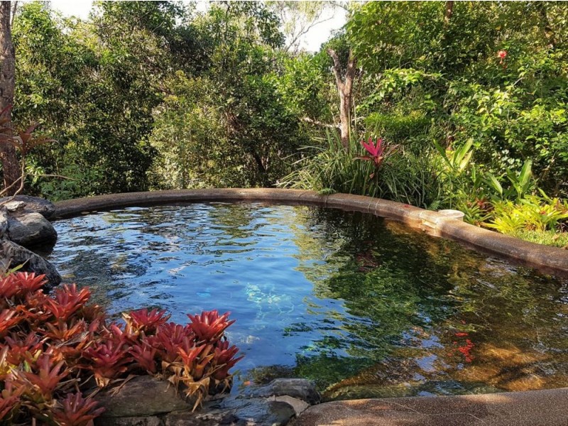 11 Chooks Ridge, Shannonvale, Port Douglas QLD 4877