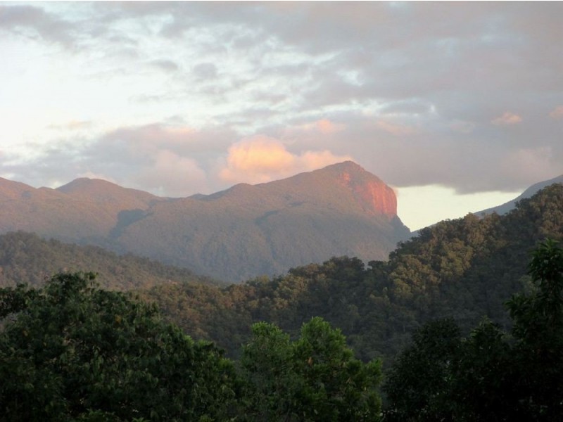 11 Chooks Ridge, Shannonvale, Port Douglas QLD 4877