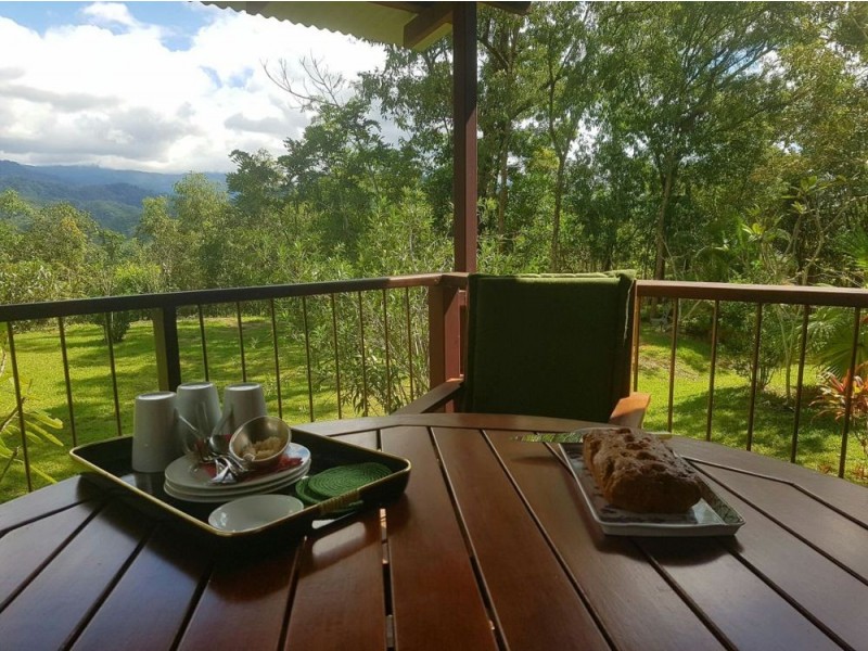 11 Chooks Ridge, Shannonvale, Port Douglas QLD 4877