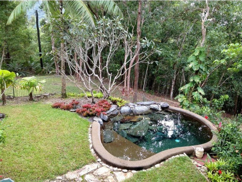 11 Chooks Ridge, Shannonvale, Port Douglas QLD 4877