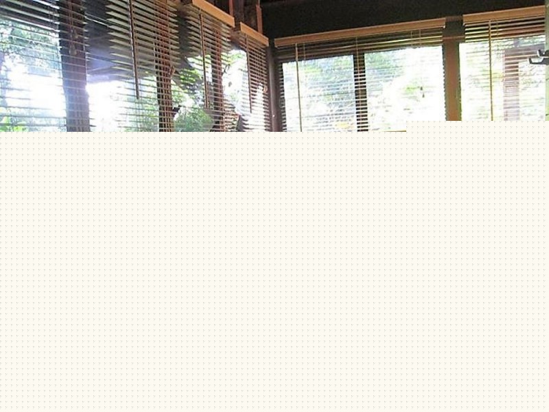 11 Chooks Ridge, Shannonvale, Port Douglas QLD 4877