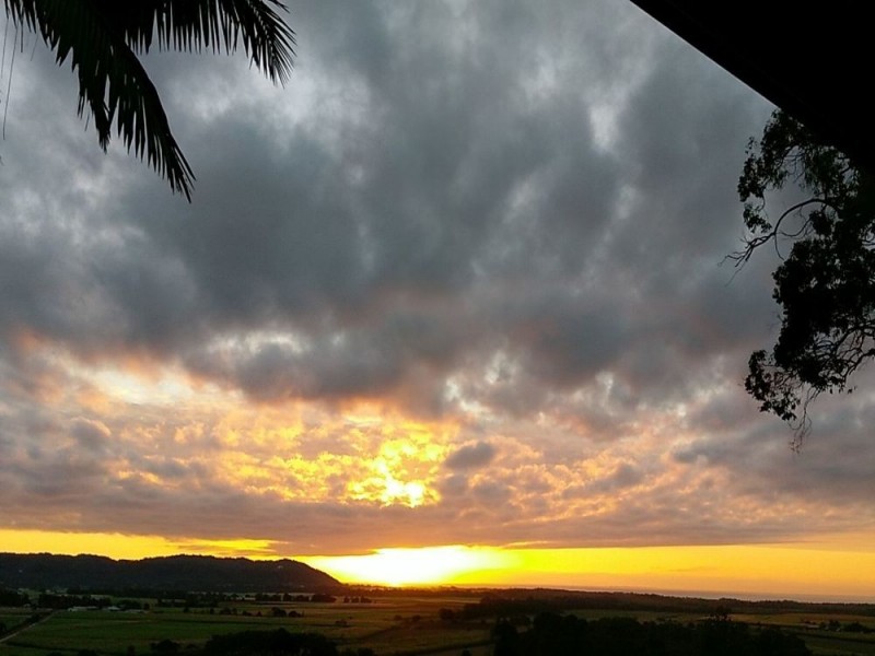 Miallo QLD 4873