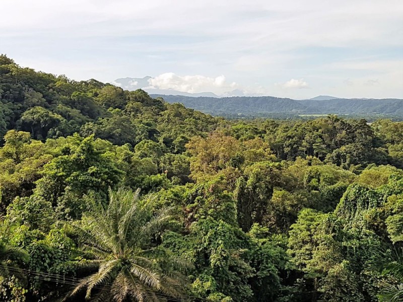 Miallo QLD 4873
