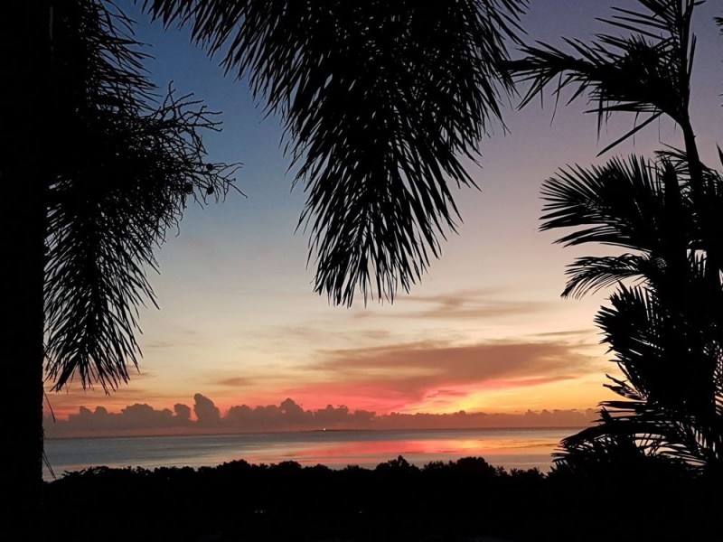 1551 Mossman Daintree Road, Wonga Beach QLD 4873