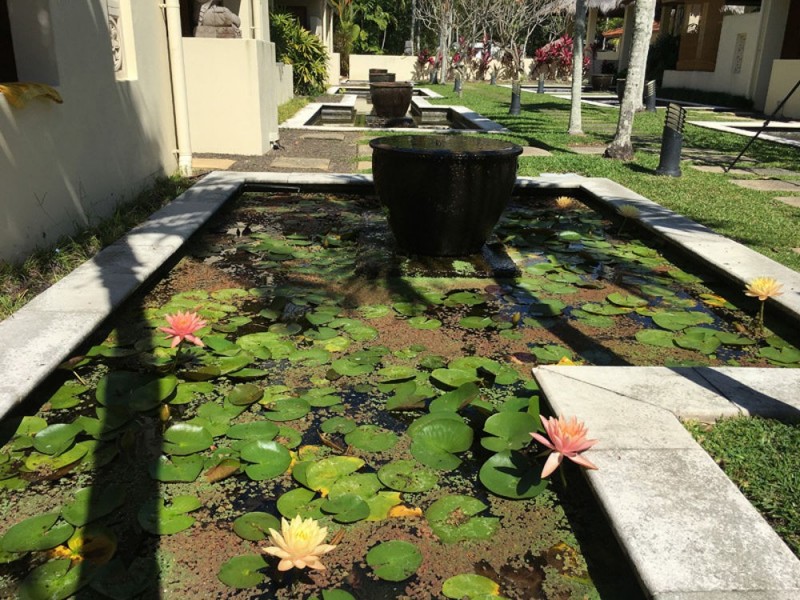 Villa 10 Surya 24 Andrews Close, Port Douglas QLD 4877